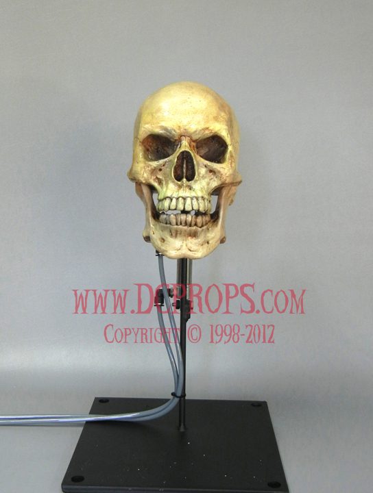 Talking Skull - Pneumatic Jaw