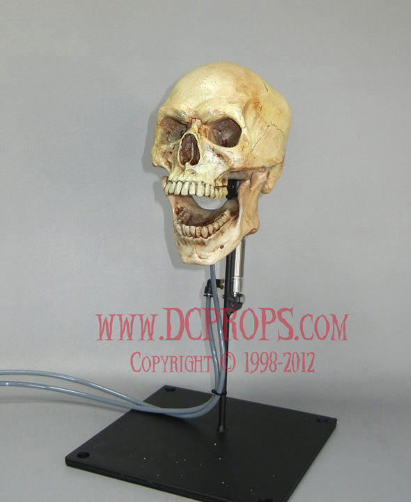 Talking Skull - Pneumatic Jaw