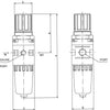 Inline Pressure Regulator & Filter
