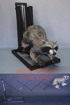 Attack Coon - Attacking Raccoon