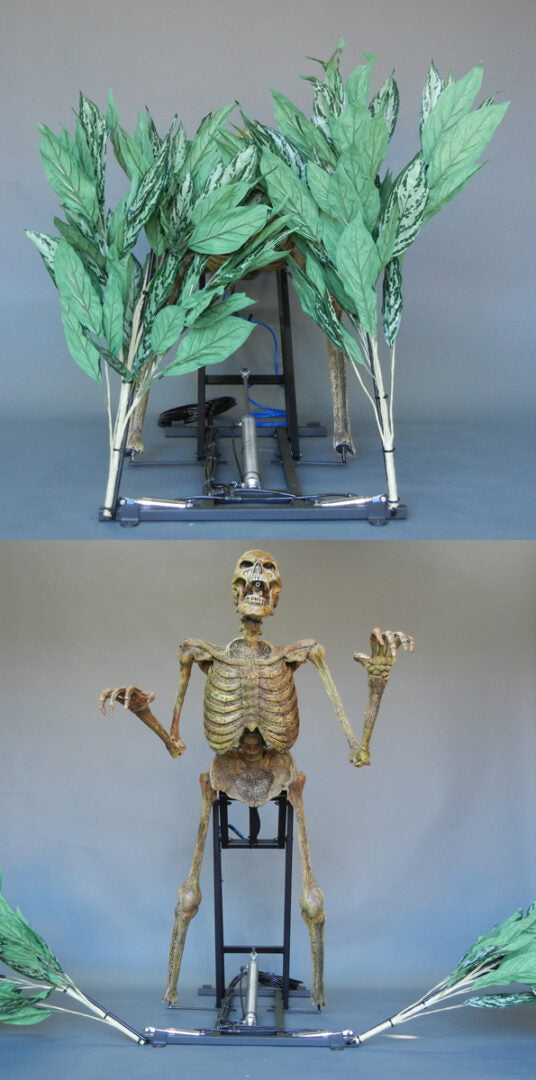 Bushwacker Skeletal Animation
