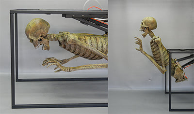 Crypt Dweller Skeletal Animation