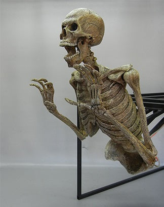 Crypt Dweller Skeletal Animation