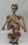 Corpse Riser - Vertical Animation