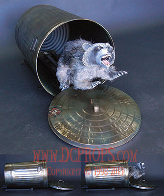 Can'd Coon - Raccoon Animation