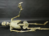 Corpse Reacher Animation