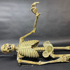 Corpse Reacher Animation