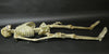 Corpse Reacher Animation