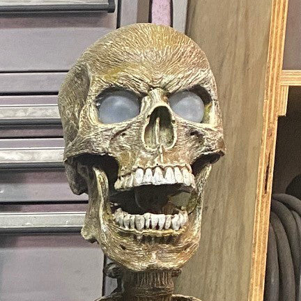DC Realistic Skulls