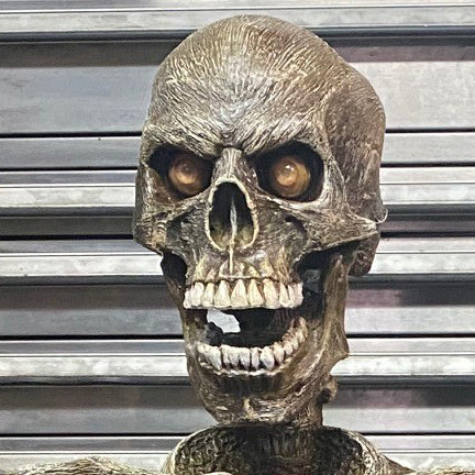 DC Realistic Skulls