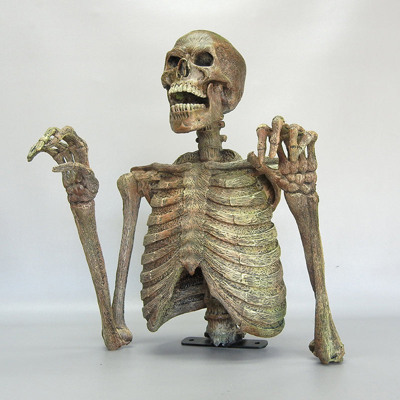 DC Skeleton 