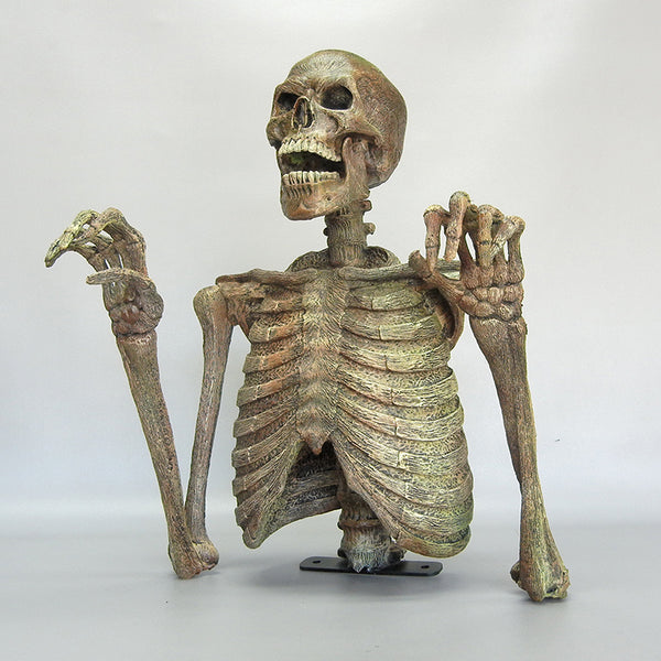 DC Skeleton "1/2 Torso"