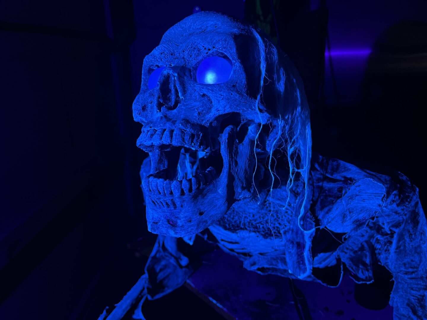 UV Creeper - Motorized