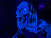 UV Creeper - Motorized