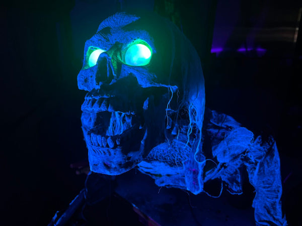 UV Creeper - Motorized