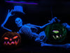 UV Lounge Lizard