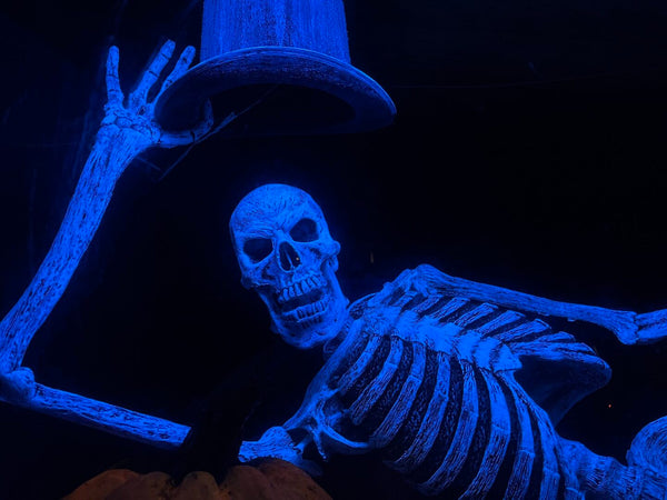 UV Lounge Lizard