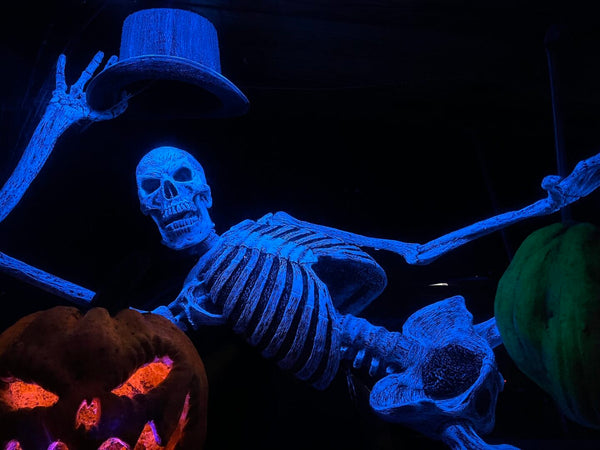 UV Lounge Lizard