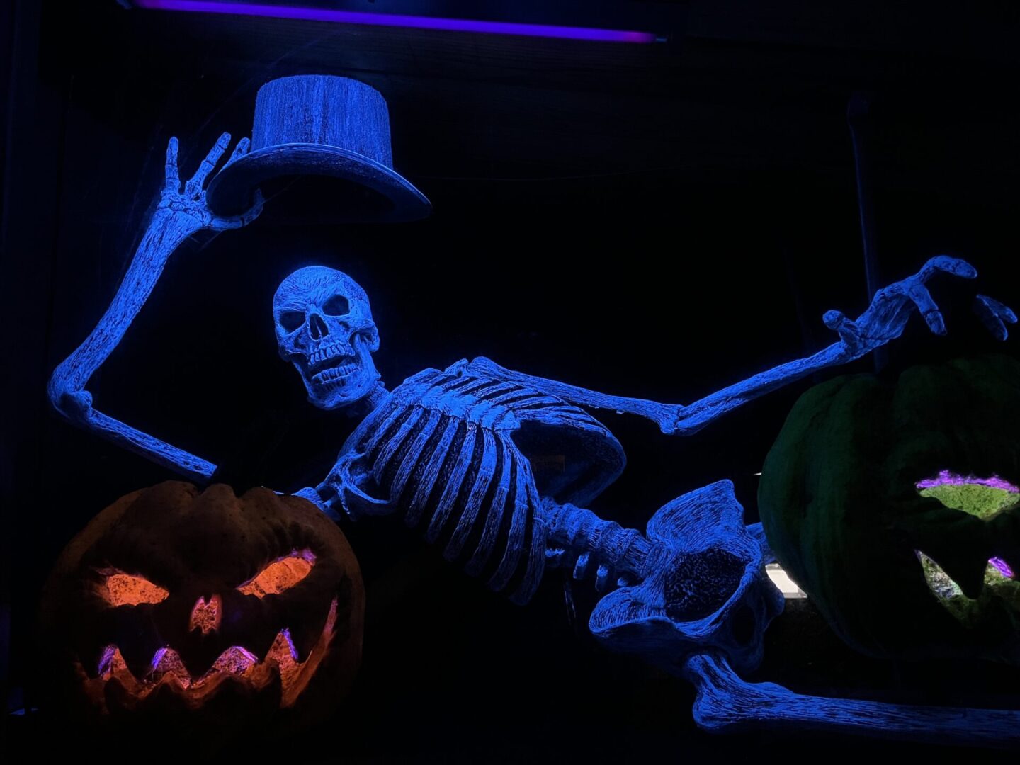 UV Lounge Lizard