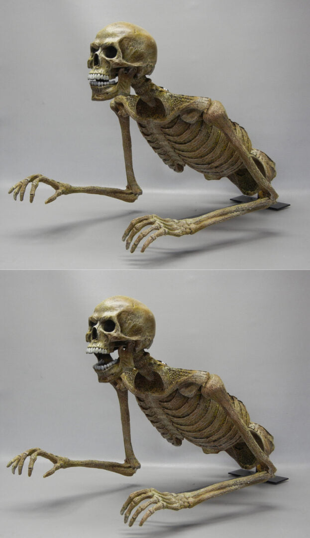 Jaw Drop Peeper