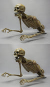 Jaw Drop Peeper