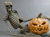 Lounge Lizard w. Jack-O-Lantern