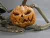 Lounge Lizard w. Jack-O-Lantern