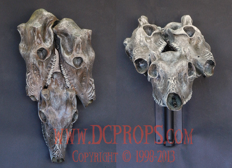 Prized Kill - Deer Skull Animation