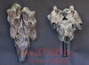 Prized Kill - Deer Skull Animation