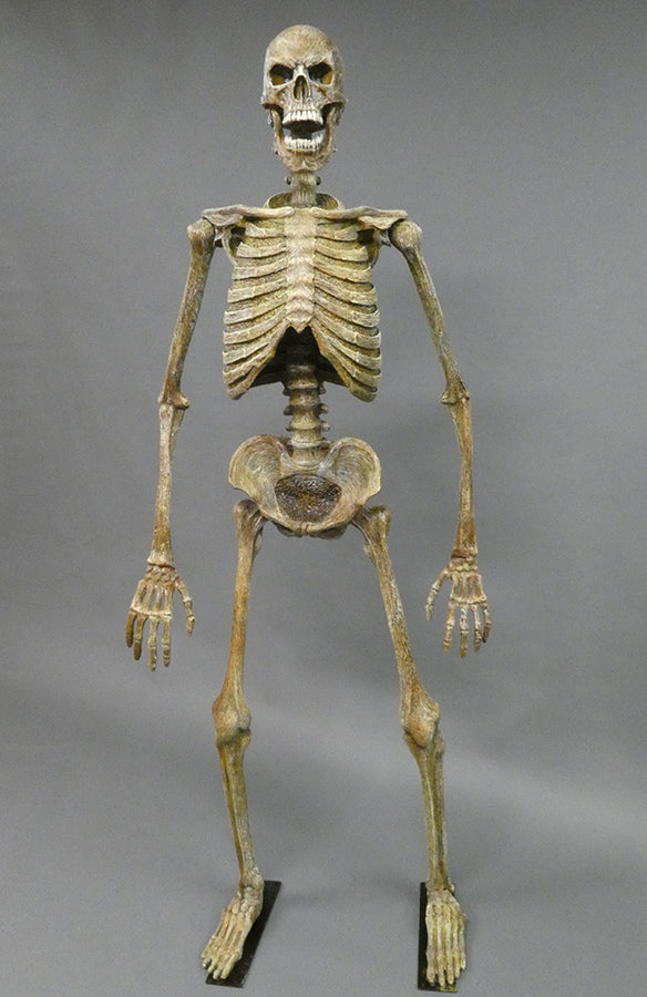 DC Skeleton 