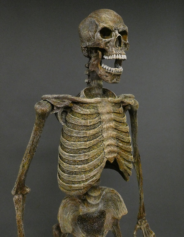 DC Skeleton "Full" w/ posable arms & Legs
