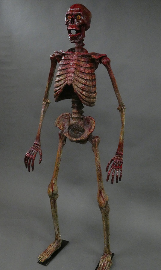 DC Skeleton 