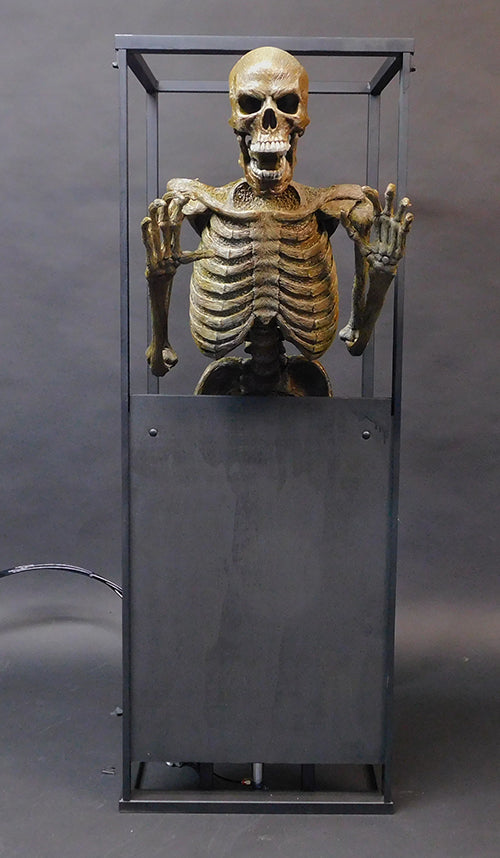 Skele-ttack Panel