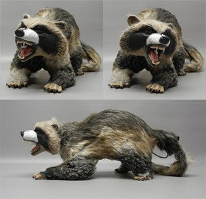 Can'd Coon - Raccoon Animation