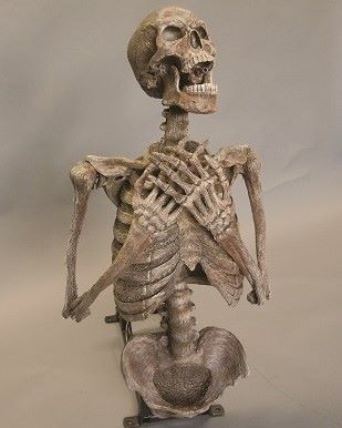 Corpse Erector