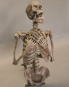 Corpse Erector