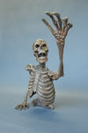 Ground Breaker Skeleton