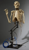 Mini Leaper w. Animated Arms