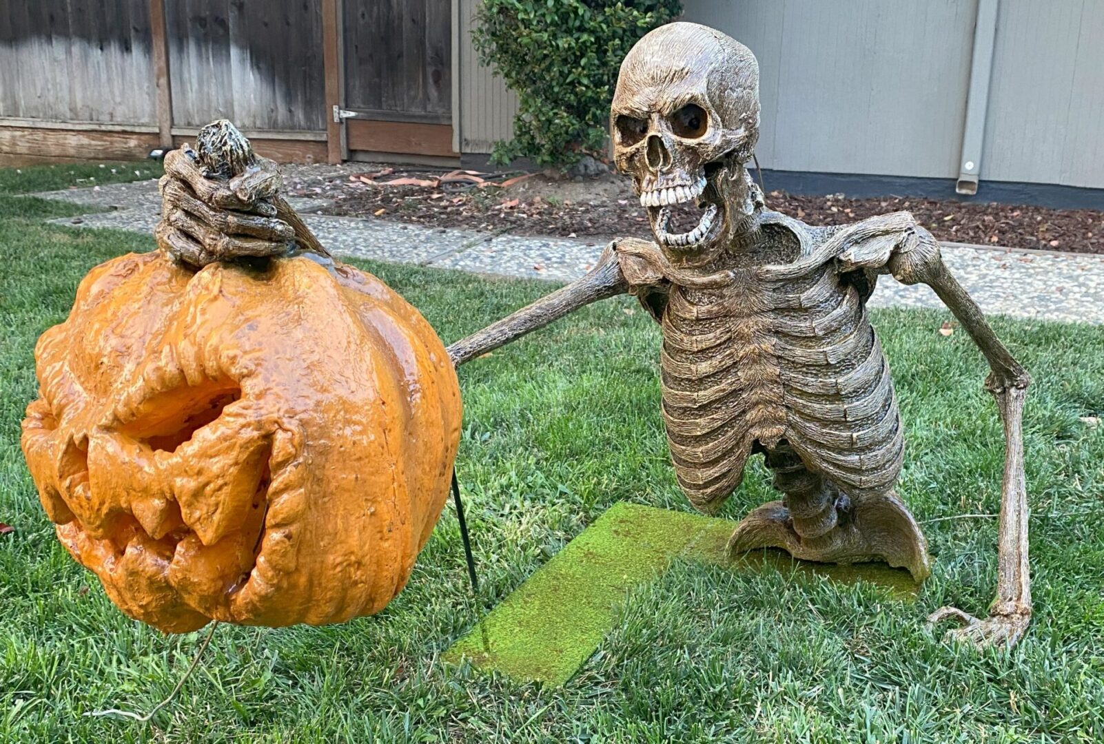 Pumpkin Groundbreaker