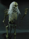 Scary-Rector