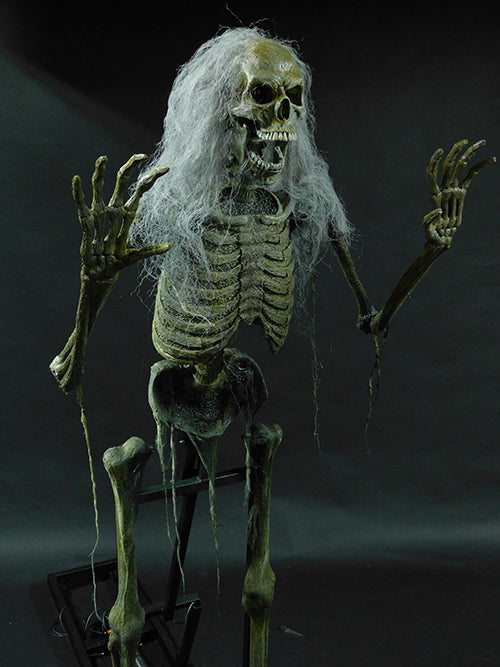 Scary-Rector