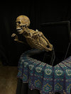 Seance Table & Ghost Bust